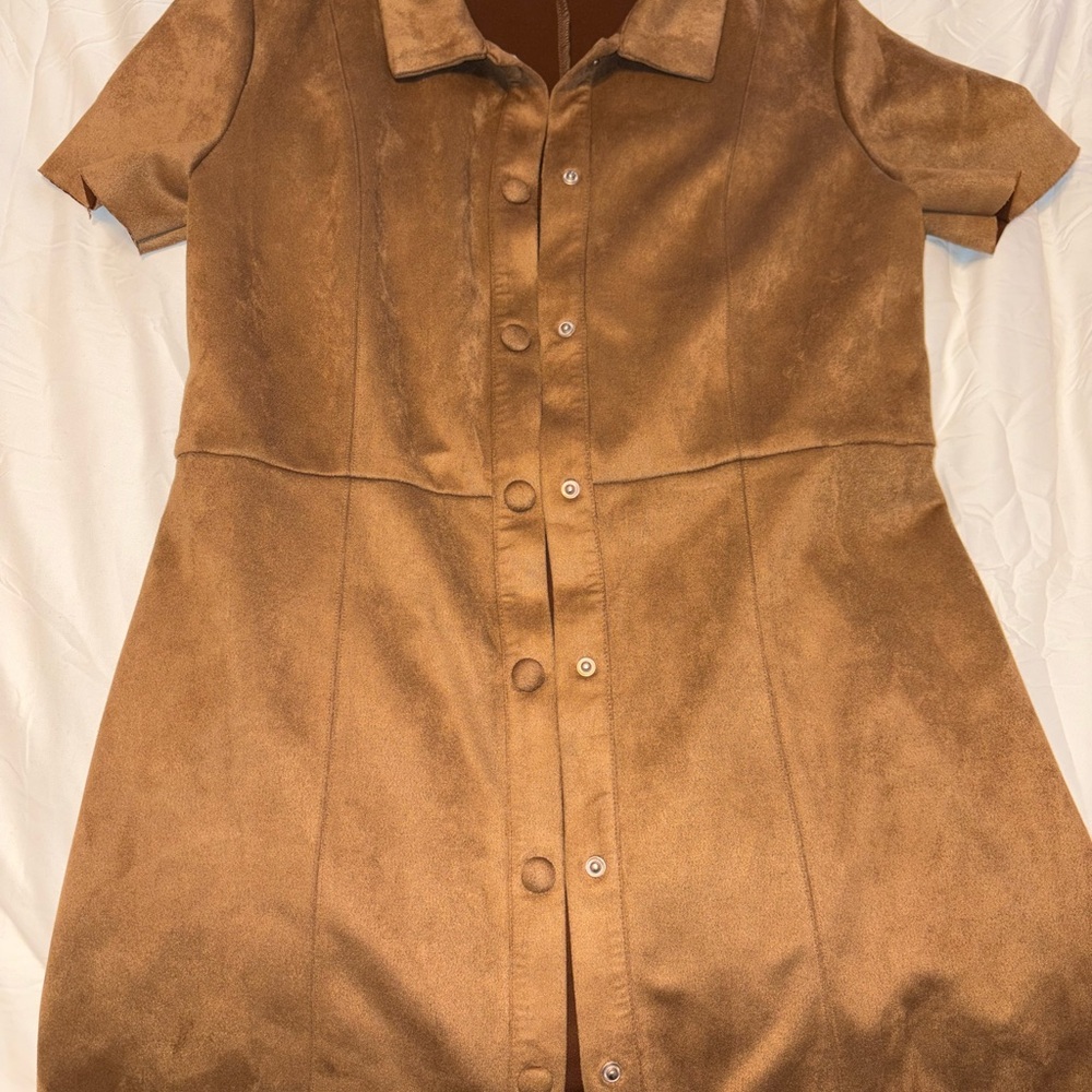 Zara Brown Suede Dress